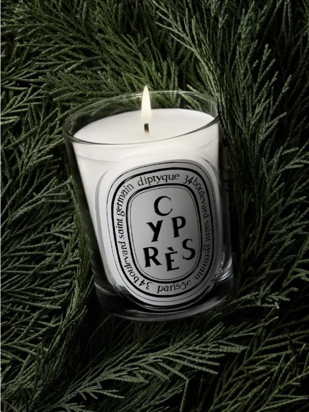 Diptyque Cypress Scented Candle- Cyprès Made in Paris